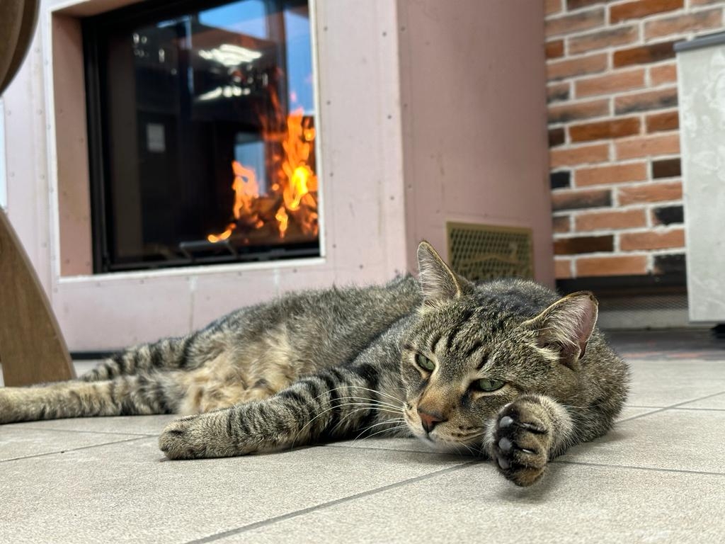 Менеджер Василий