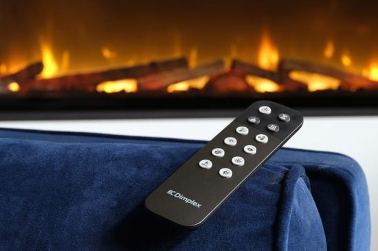 фото Очаг электрокамина Dimplex Ignite Evolve 100