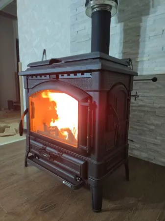 фото Печь-камин Isotta con cerchi La Nordica с плитой