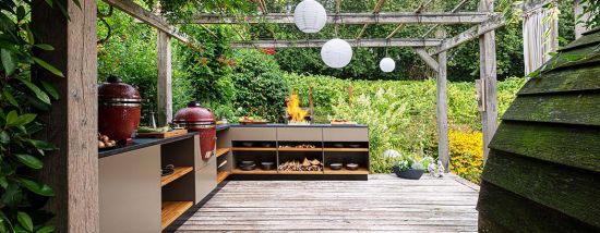 фото UltraQ BBQ GURU EDITION модель 2019