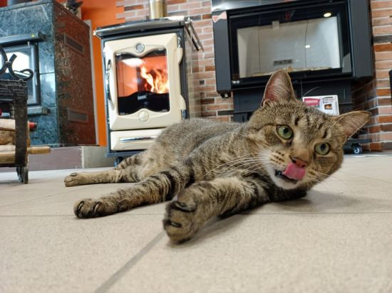 фото Отопительно варочная плита Cucinotta Cream La Nordica