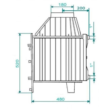 фото Каминная топка FG-20W