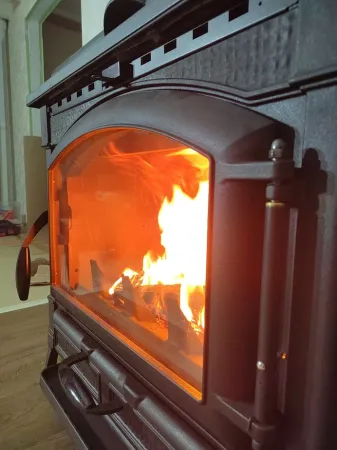 фото Печь-камин Isotta con cerchi La Nordica с плитой